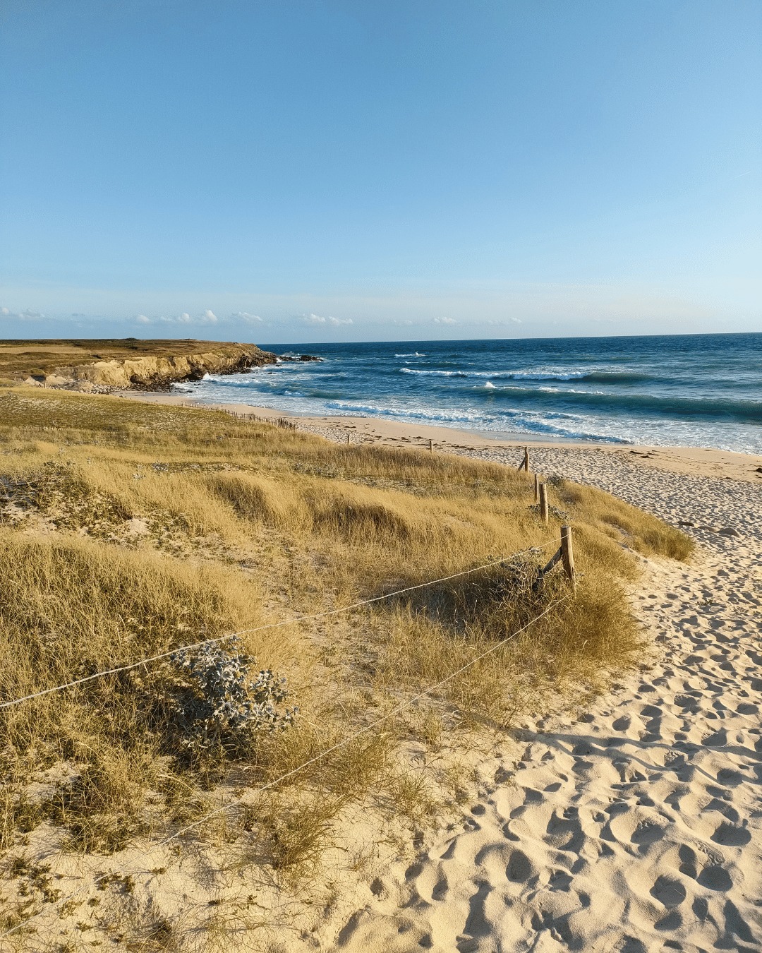 ✨ L’année n’est pas encore terminée… et pourtant, on se surprend déjà à rêver à de nouvelles parenth…