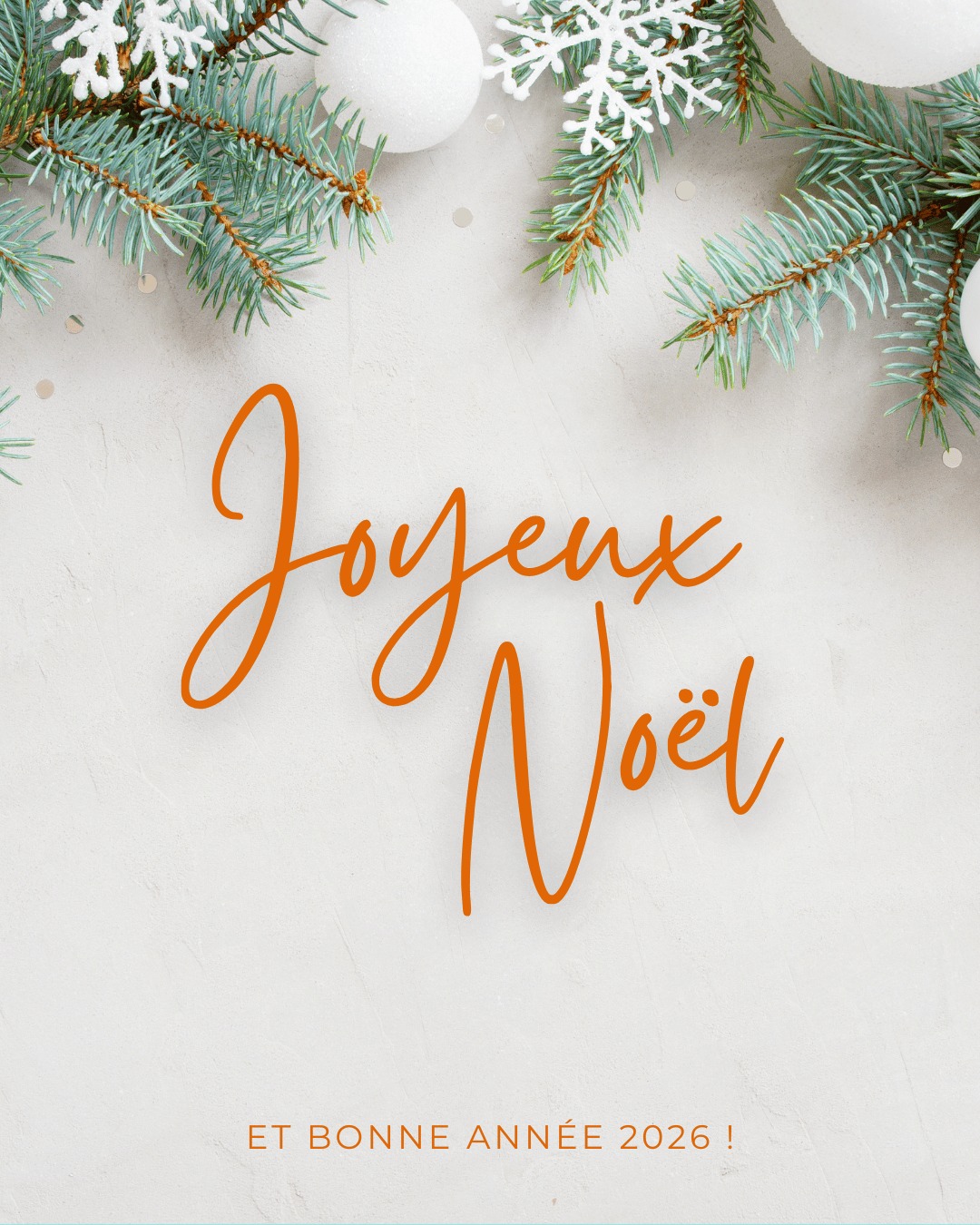 Joyeux Noël & belles fêtes de fin d’année à toutes et à tous ! Que cette période vous apporte douceu…