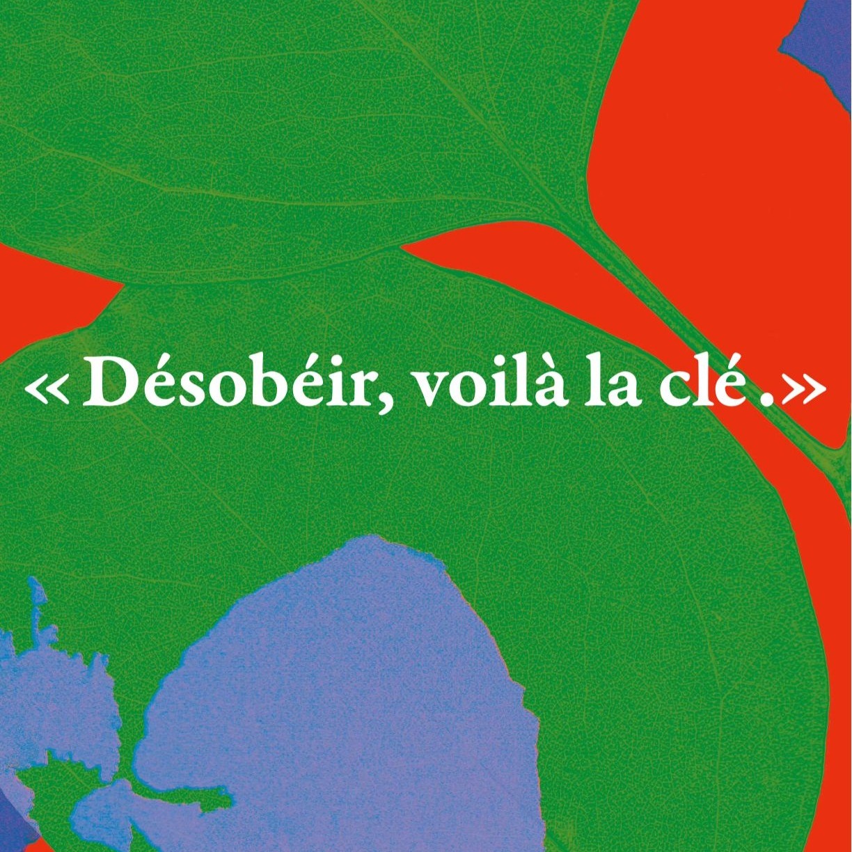 Six lieux magiques, onze auteures, des lectures et des discussions pour quatre jours de célébration de l'écriture au féminin. À vos agendas!
Programme complet: www.lesjardinsdulivre.ch
@librairielafontaine
@editionsdelaire
@bernardcampicheediteur
@trousp.tv