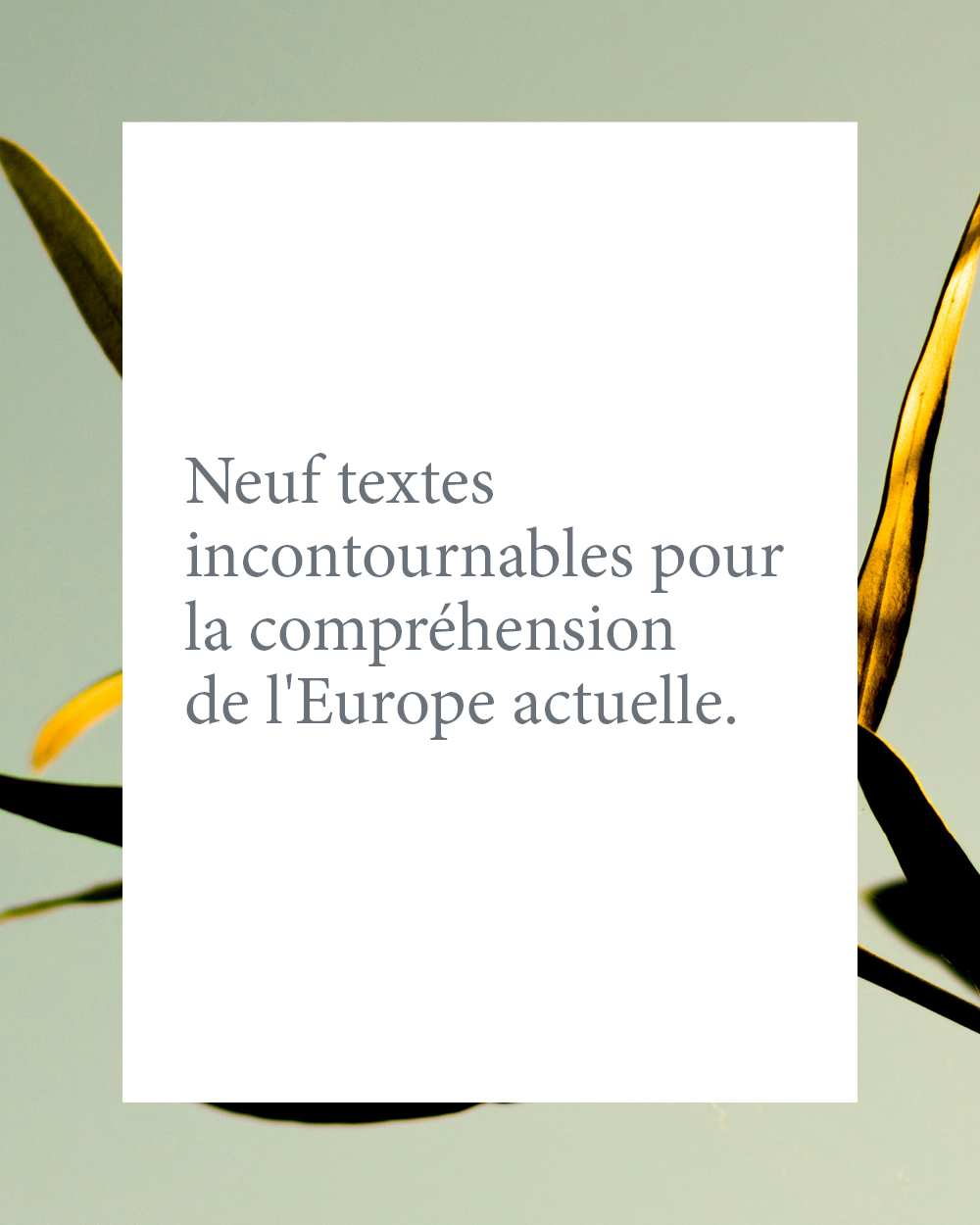 Rendez-vous le mercredi 23 septembre, 12h30, à Payot Rive Gauche pour une présentation des Rencontres internationales de Genève!
@payot.libraire
@unigeneve
