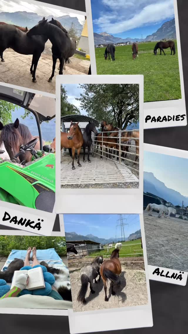 🎉🥳 Ein Jahr Balankamatt 🎉🥳Nun sind wir schon wieder ein Jahr im neuen Zuhause in der....