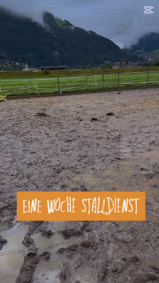 Es ist Ökoheu-Woche bei @bauerhorst.ch. Das bedeutet für mich eine Woche Stalldienst 💪😅E....