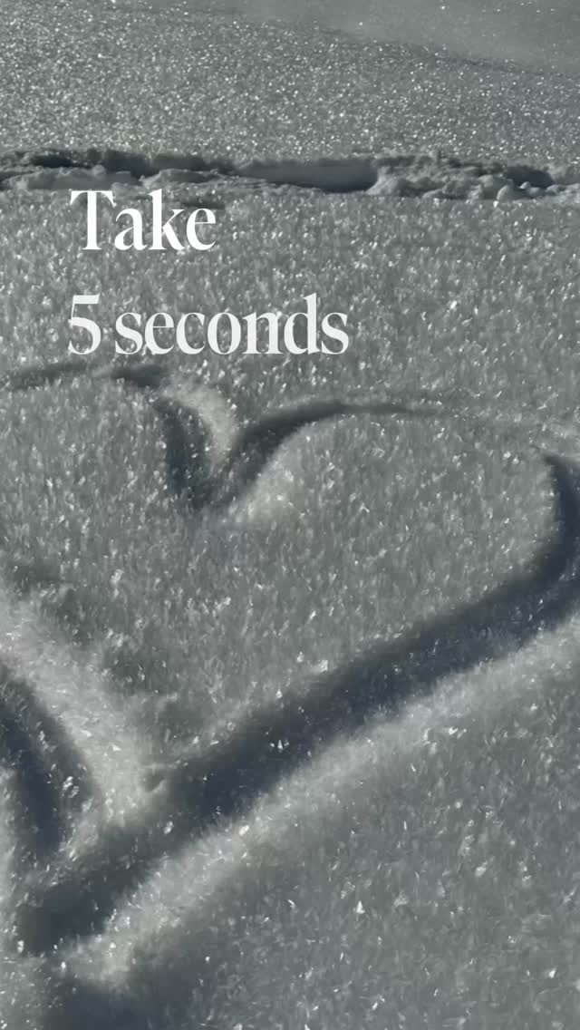 #take5seconds #peacewalk #peacewalk2026 #pferdetraining #corinnepils