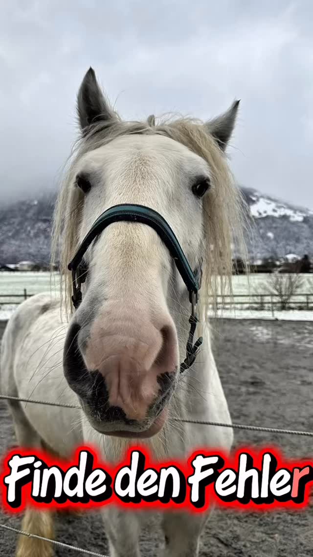 Findest du den Fehler? 🔍Frodo reagiert sofort…aber die meisten spüren nicht, warum.Und gen....