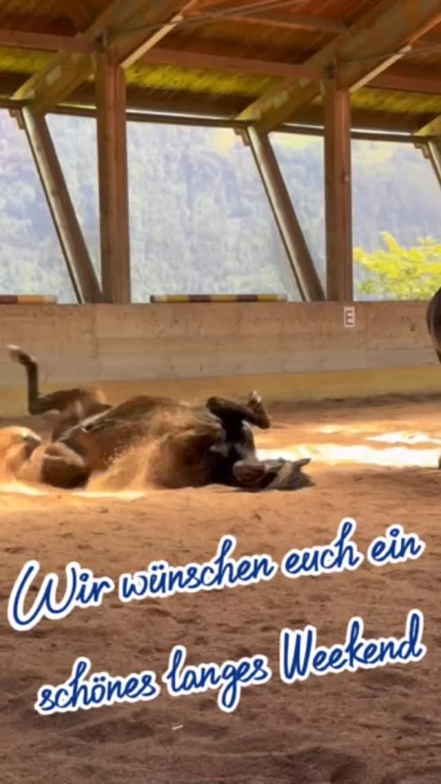 Fronleichnam – und schon geht es langsam Richtung Sommerferien. 🏖️Die ersten zwei Wochen ....