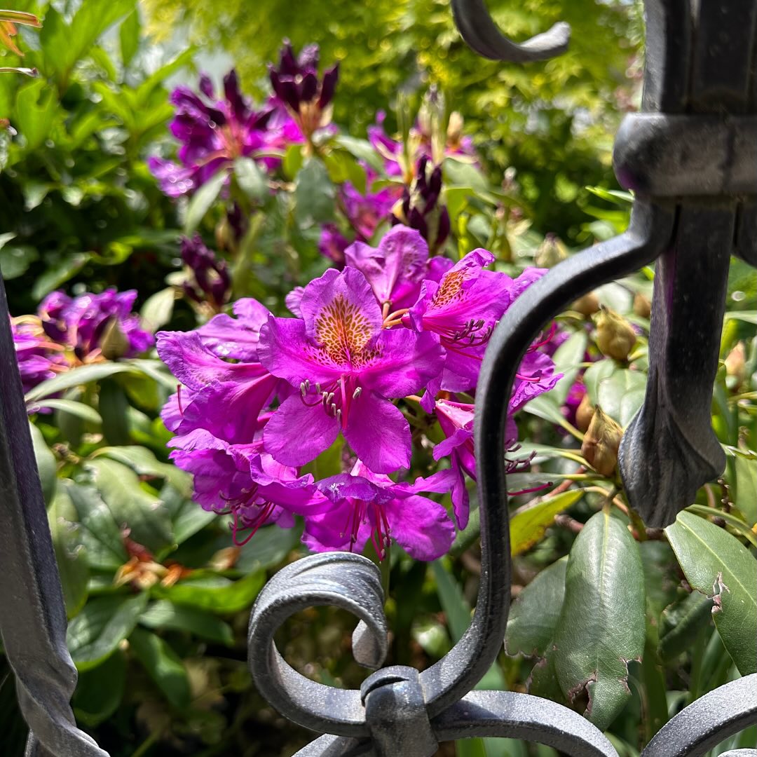 #holhilfe #fürimmerimherzen #foreverinmyheart #mydoorisalwaysopen #dargebotenehand143