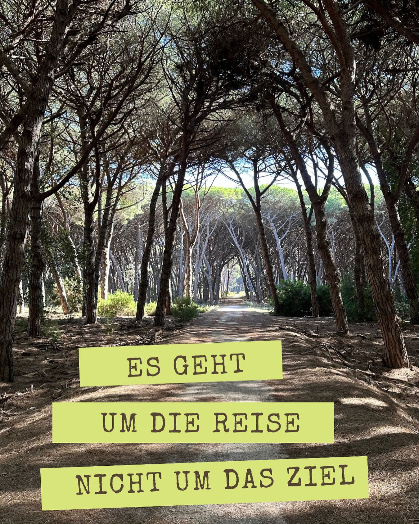 #pferdestall #rundumspferd #pferd #pony #reise #journey #lifeisajourney #ziele #pferdeausbildung....