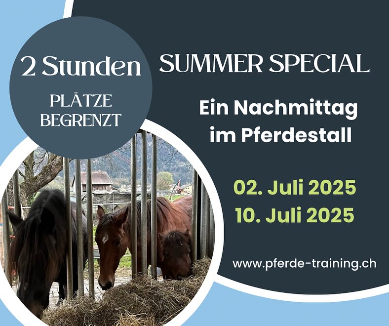 ☀️ SUMMER SPECIAL ☀️Ein Nachmittag im PferdestallMittwoch, 02. Juli 202514.00. - 16.00 U....