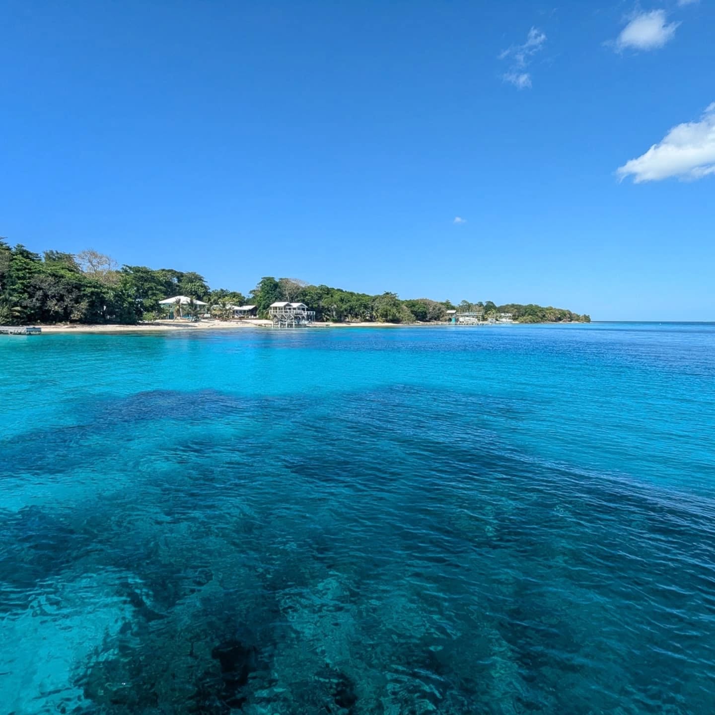 🚨 New blog post about our time on the Caribbean island of Utila in Honduras where we did our dive master training 🤿 and went diving almost every day for over two months! 🐳 🐠
Check it out on our website (link in bio). 😊