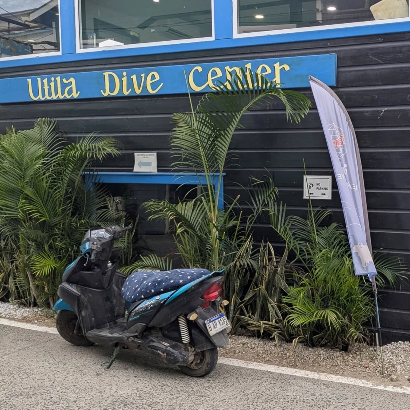 🚨 New blog post about our time on the Caribbean island of Utila in Honduras where we did our dive master training 🤿 and went diving almost every day for over two months! 🐳 🐠
Check it out on our website (link in bio). 😊
