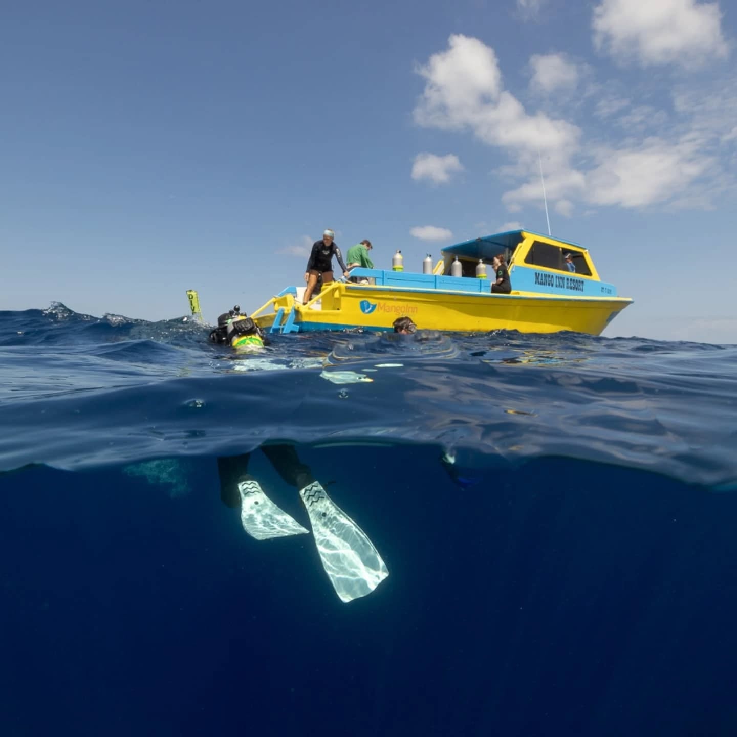 🚨 New blog post about our time on the Caribbean island of Utila in Honduras where we did our dive master training 🤿 and went diving almost every day for over two months! 🐳 🐠
Check it out on our website (link in bio). 😊