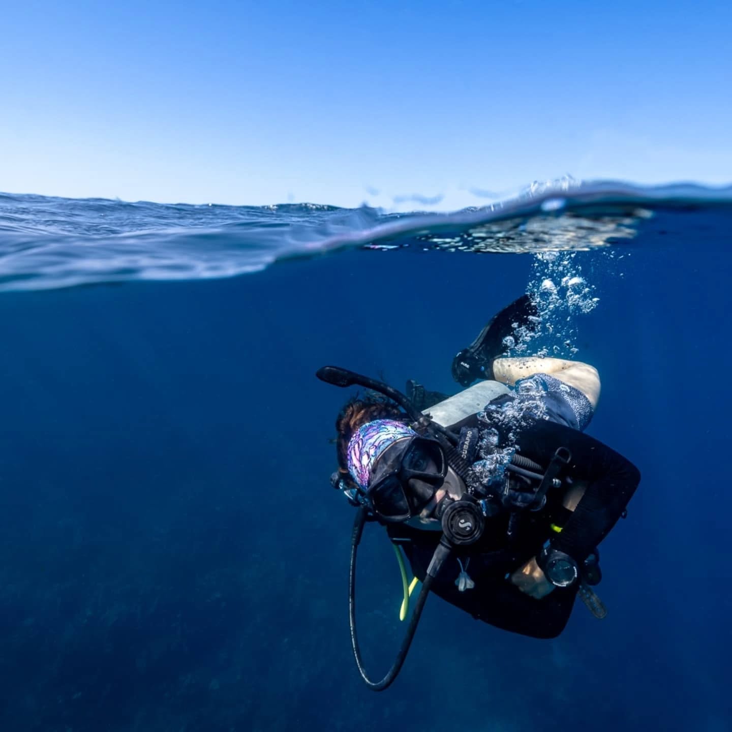 Do you want to know what it's like to live on a Caribbean island off the coast of Honduras while diving almost every day, doing a dive master? Check out our newest blog post!
🤿 ⛱️ 🌅
Check it out on our website (link in bio).
@rachstock
@michaelbarbour97