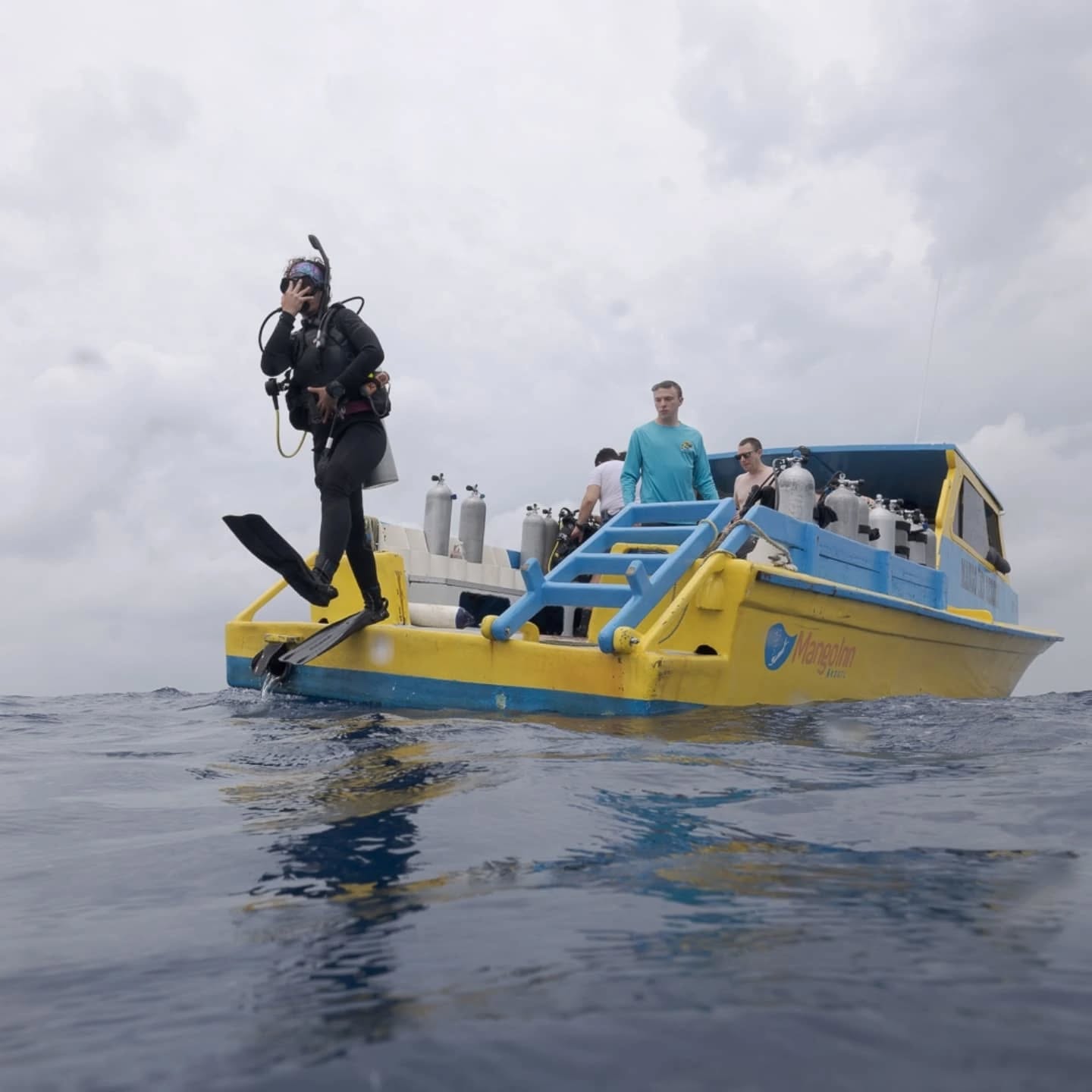 Do you want to know what it's like to live on a Caribbean island off the coast of Honduras while diving almost every day, doing a dive master? Check out our newest blog post!
🤿 ⛱️ 🌅
Check it out on our website (link in bio).
@rachstock
@michaelbarbour97
