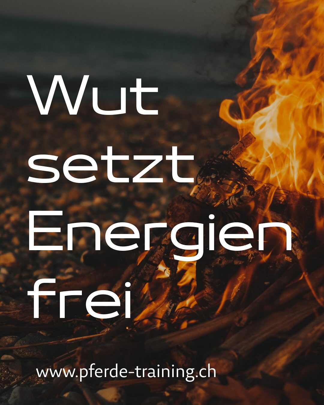 🤬😡 Wut 😤🤬Wut wird in unserer Gesellschaft negativ bewertet. Immer schön nett und li....