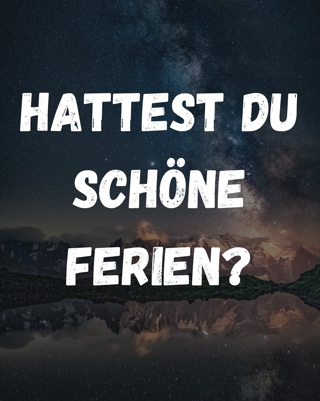 All credits to @wolkes_horse_paradise_hurghada @wolkes_sanctuary_hurghadaImformierte Organisatio....