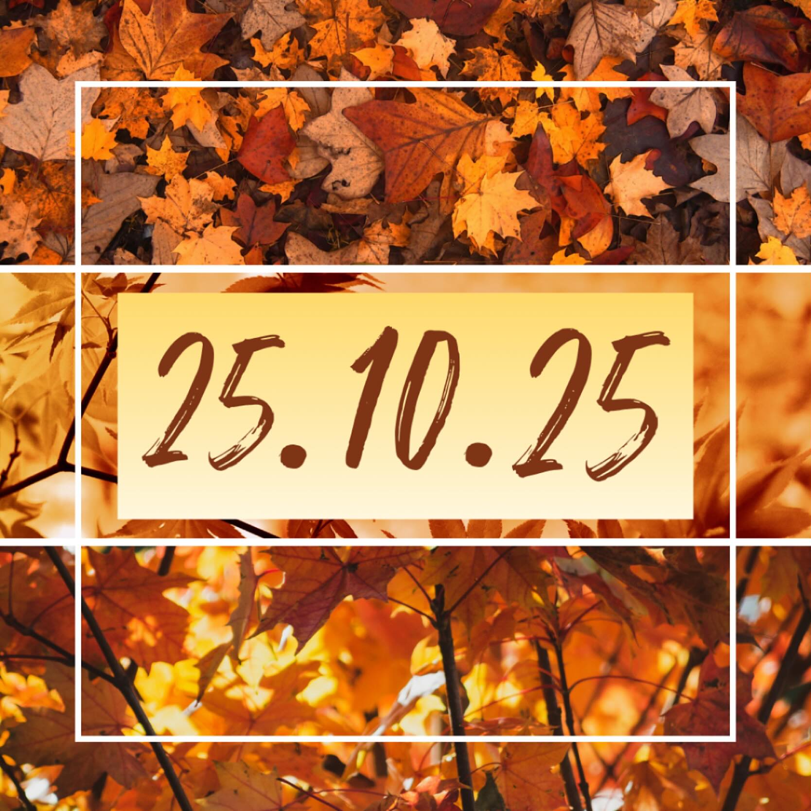 pferdetraining.corinnepils