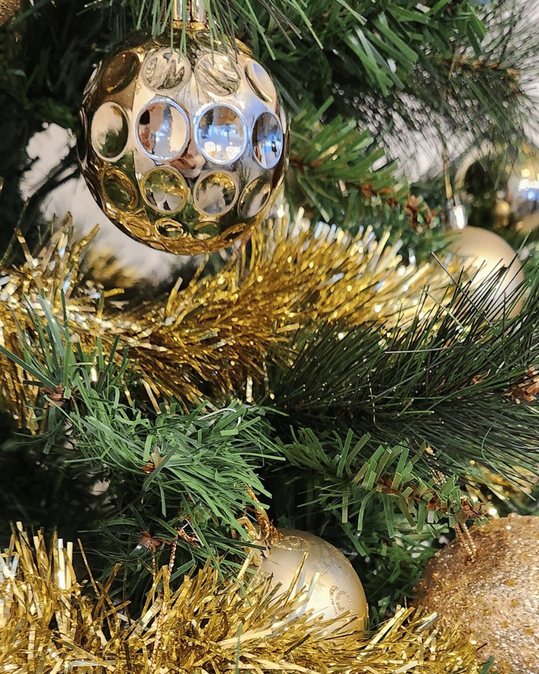 En attendant Noël, la magie s’installe dans notre Villa Ty Spa ! Aujourd’hui, on décore le sapin et…