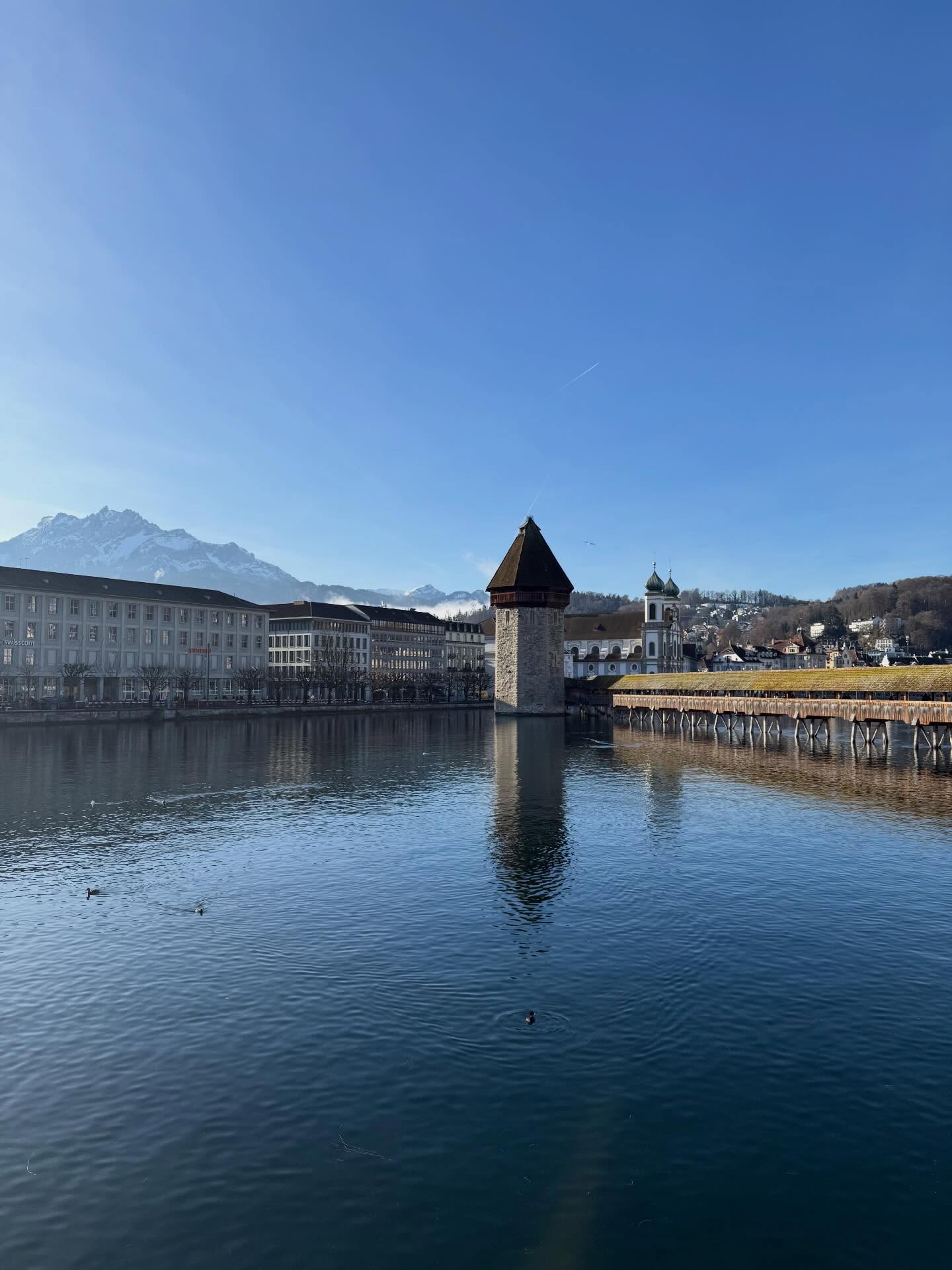 🇨🇭#luzern #switzerland #heimat #pferdetraining #corinnepils