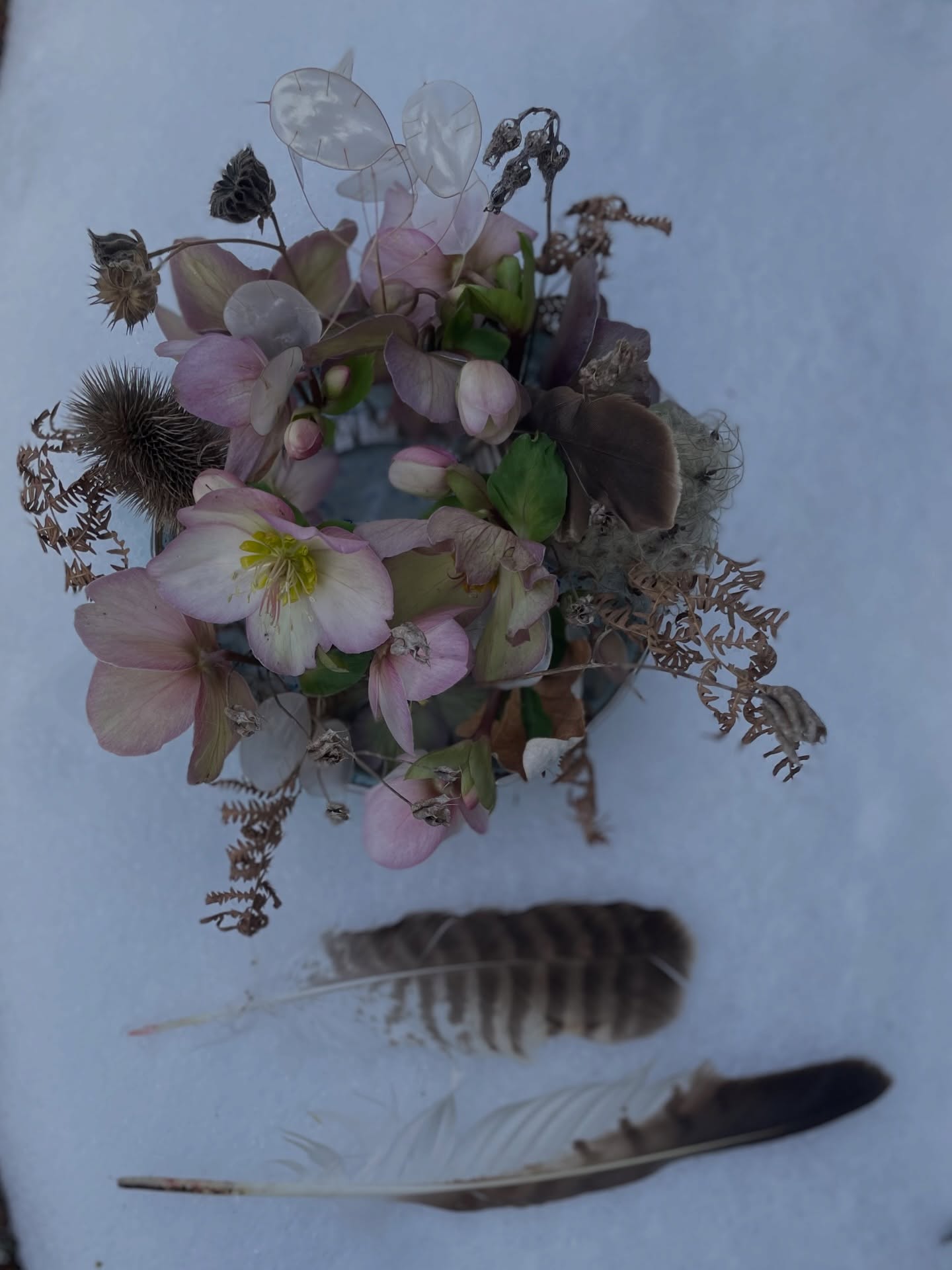 Wintergestaltung
Helleborus
Naturschätze
Hanatabaring
Im Rhythmus der Natur Wintergestaltung
Helleborus
Naturschätze
Hanatabaring
Im Rhythmus der Natur