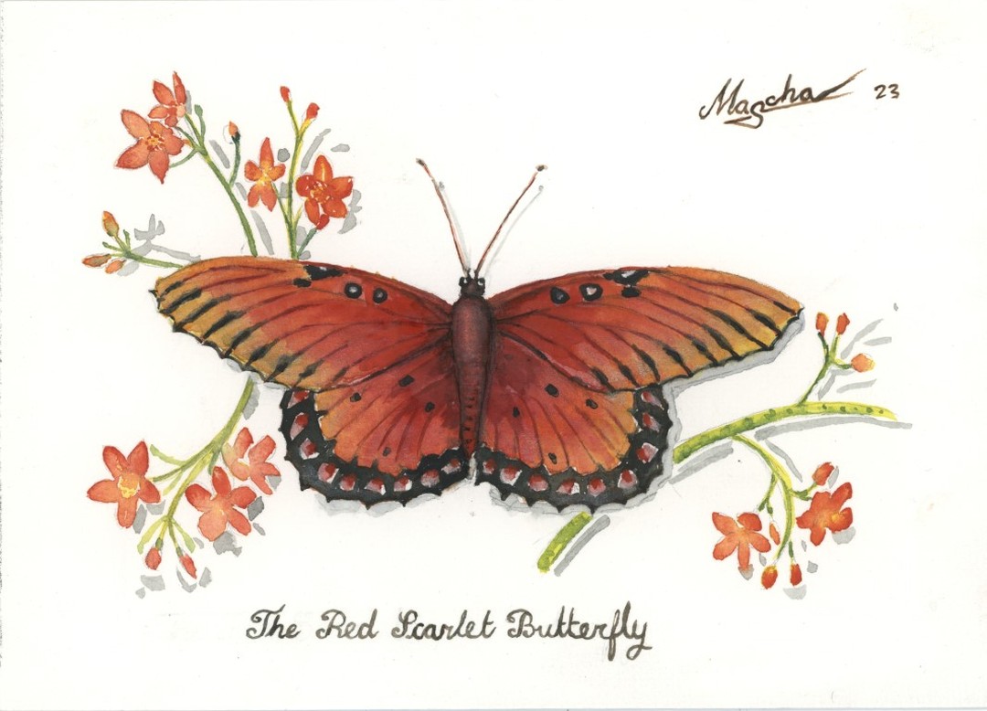 Peindre un papillon à l'aquarelle.
Painting a butterfly with watercolor.
www.maschapaintings.com
#watercolor
#originalpainting
#butterflies
#painting
#butterflypainting
#aquarelle