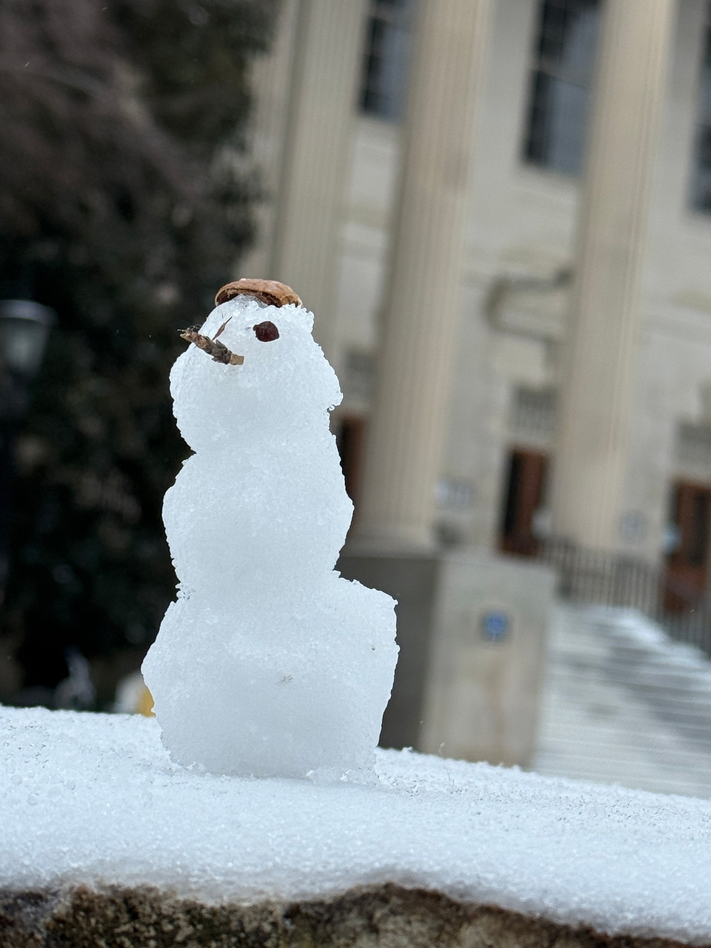 We are loving the winter weather - playing in the snow is fun! You can make it safer too. Try one of these:
⛄Build a snowcreature! Get creative - it doesn't have to be a "man."
❄️Make snow angels or body imprints - Fall onto a snowy bank and make shapes with your whole body.
🧊Boot skate - find some ice and intentionally slide around on it - learning balance on purpose helps when ice surprises you.
⚪Have a snowball competition - see who can hit inanimate objects that are furthest away.
Layer up before heading out and when you come inside, warm up with hot tea or cocoa, a hot shower, or a snuggly blanket 💙