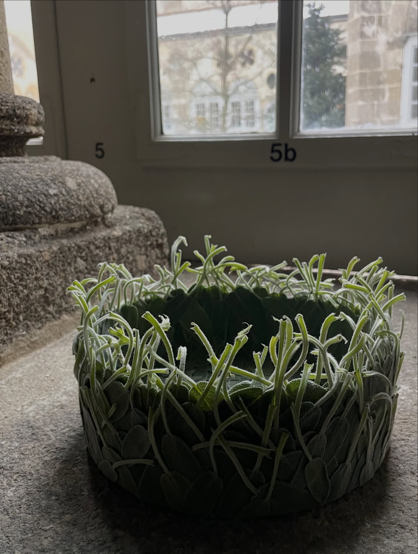 Aufgabenstellung Kleben:
Salbeiblätter
Holzschachtel
Holzleim (lösungsmittelfrei)
Pinsel
Zeit und viel Geduld
Kostbarkeit mit unbezahlbarem Wert. Aufgabenstellung Kleben:
Salbeiblätter
Holzschachtel
Holzleim (lösungsmittelfrei)
Pinsel
Zeit und viel Geduld
Kostbarkeit mit unbezahlbarem Wert.