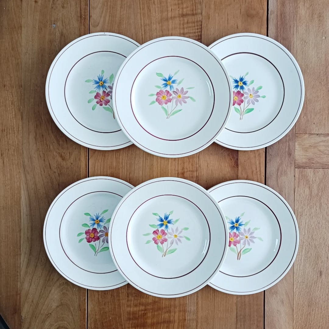 🍰 Pour vos gouters maison, voici un lot de 6 assiettes à dessert Ceranord, modèle Bettina, en faïence blanche décorée d’un bouquet fleuri peint à la main.
Un charme délicat, un brin romantique, parfait pour les parts de tarte, les biscuits du dimanche ou la petite douceur du soir “juste pour le plaisir”.
Bon état général, avec quelques légères traces du temps qui rappellent qu’elles ont déjà connu de jolies tablées.
Et petit bonus : j’ajoute une 7e assiette offerte, un peu différente avec son bord en relief.
📏 Diamètre 19,5 cm – hauteur 2 cm
⚖️ 1,7 kg
🏷️ Prix : 24 € le lot (7 assiettes dont 1 offerte)
📦 Retrait à l'atelier de Villeneuve d'Ascq, livraison possible sur la métropole lilloise ou envoi partout ailleurs !
#ceranord #vaisselleancienne #assiettesvintage #artdelatable #lesimparfaits