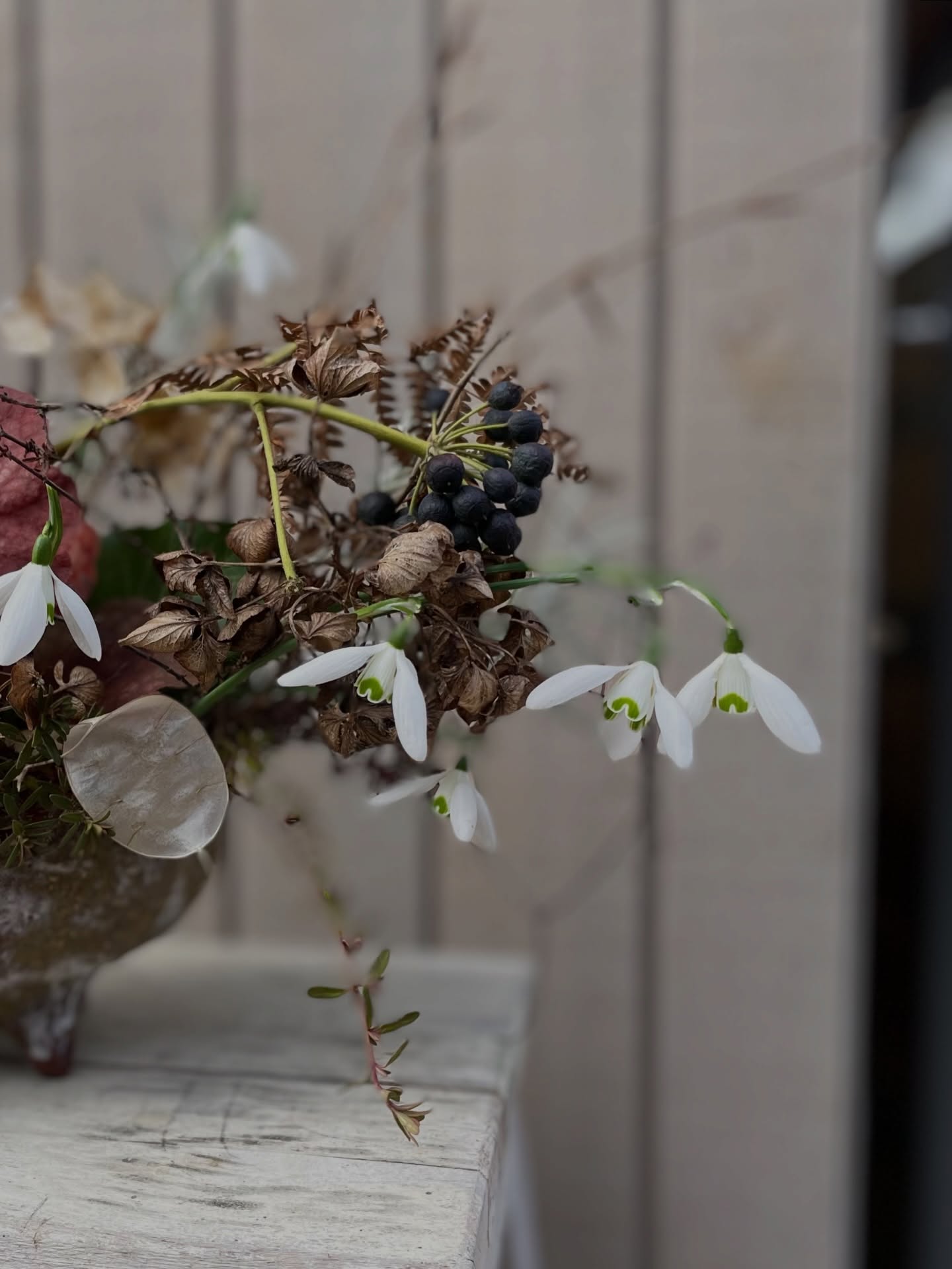 Der Wintergarten wandelt sich langsam. Frühling du lockst mich in die Natur.
Das wunderschöne Gefäss aus den Händen von @mirjam_rueckert habe ich von @claudiaalijew geschenkt bekommen. Es lädt mich immer wieder ein, mir einen Augenblick Zeit zu nehmen und mit der Natur zu gestalten. Ich geniesse diese Augenblicke der Ruhe sehr. Der Wintergarten wandelt sich langsam. Frühling du lockst mich in die Natur.
Das wunderschöne Gefäss aus den Händen von @mirjam_rueckert habe ich von @claudiaalijew geschenkt bekommen. Es lädt mich immer wieder ein, mir einen Augenblick Zeit zu nehmen und mit der Natur zu gestalten. Ich geniesse diese Augenblicke der Ruhe sehr.