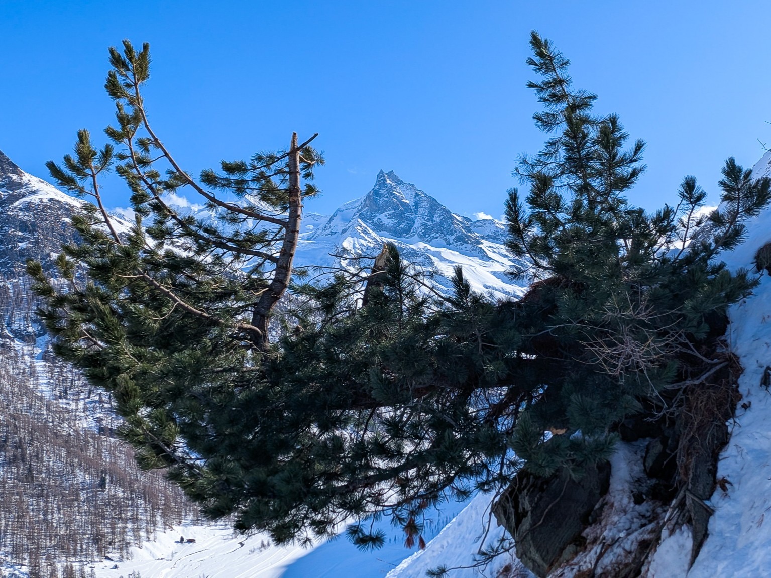 Une belle période en Anniviers, ensoleillée, sereine, un peu crémeuse certains jours. Dans un si lointain monde de brutes.