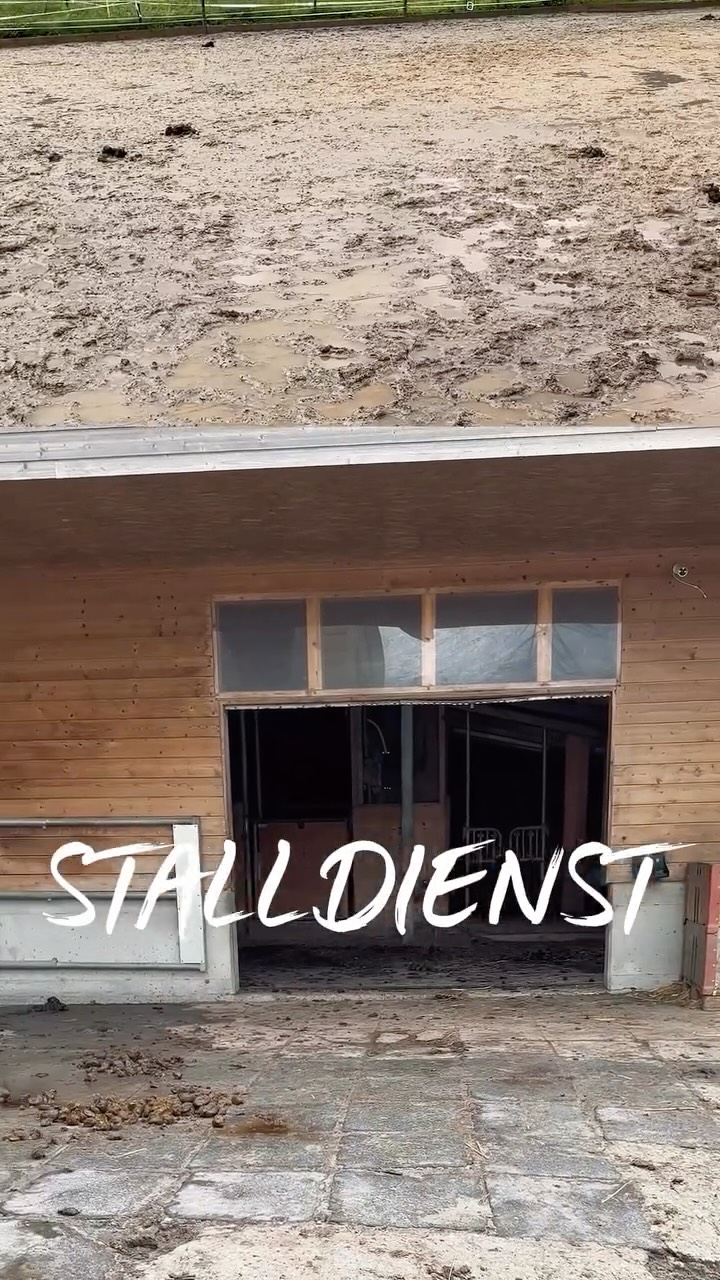💩 Stalldienst vom 2.-6.3.26💪 Wer hat Lust zu helfen? Melde dich bei mir#stalldienst #p....