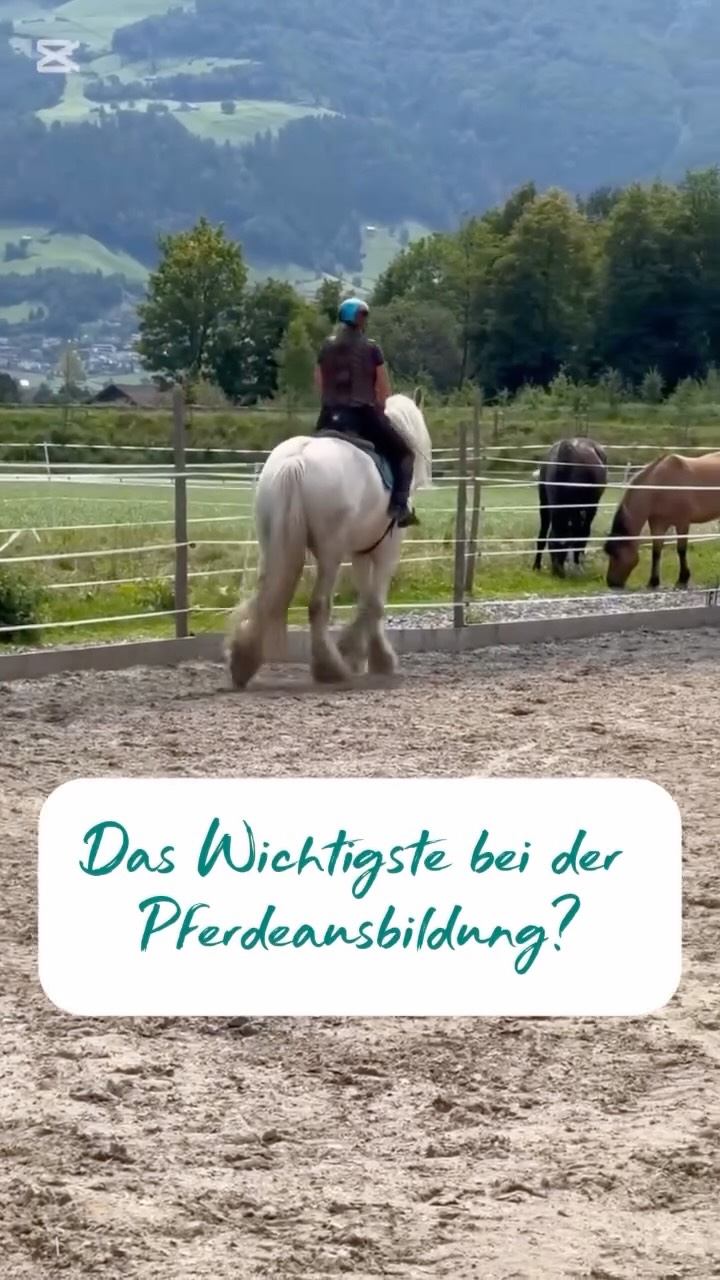 ⏰ Zeit, Ruhe, GeduldDas Wichtigste in der korrekten Ausbildung von PferdenGerne unterstütze i....