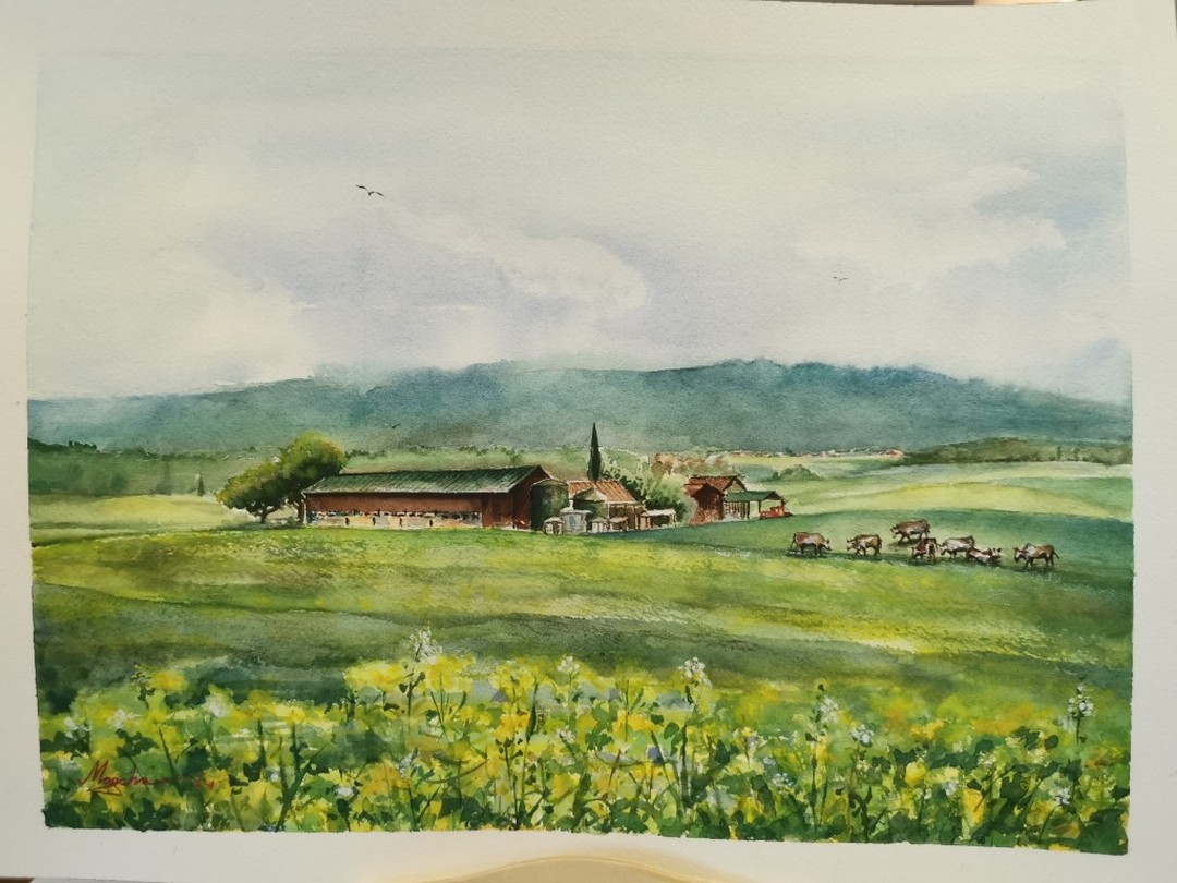 La vue depuis le train sur le chemin d’Echallens à Lausanne a l’aquarelle.
🎨🚊
The view from the train on the way from Echallens to Lausanne with a watercolor twist.🎨🚊
#watercolor
#lausanne
#echallens
#painting
#switzerland
#traveling
#landscaping