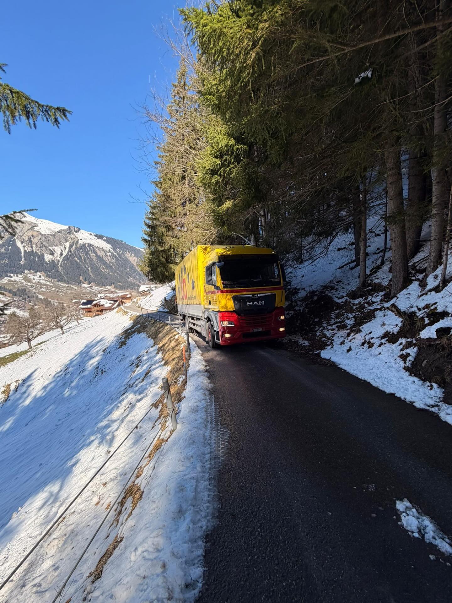 #Länk#dänk#truckerlife#mangoldelefant🐘