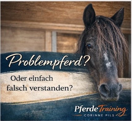 ProblempferdEin Begriff, der schnell fällt.Zu schnell.Denn dein Pferd macht nichts einfach so.E....