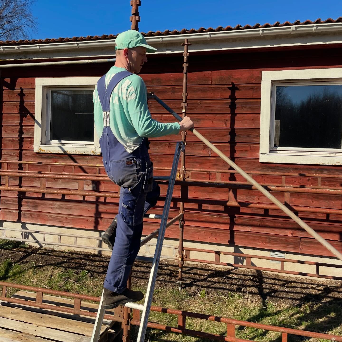 Idag kom byggnadsställningen upp 👍🏻 Vi köpte den för drygt ett år sen men har inte haft någon trall till den. Men nu är trallen beställd så nu provade vi sätta upp den. Känns så lyxigt att äga en byggnadsställning. Ännu lyxigare sen när den får trall så man kan stå på den 😅
När trallen väl är på blir det dags att borsta och sen måla. Just nu har fasaden nästan samma färg som byggnadsställningen 🫣
Bläddra till sista filmen för att se boven till varför jag filmar Alexander istället för att hjälpa till…
/J