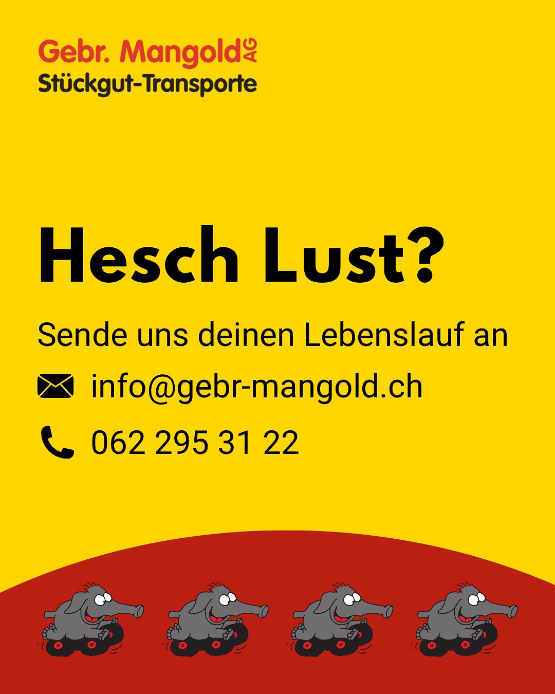Wir suchen DICH! 🫵🏼
Bist du auf der Suche nach einer neuen Herausforderung? Dann melde dich noch heute bei uns! 🚚🐘