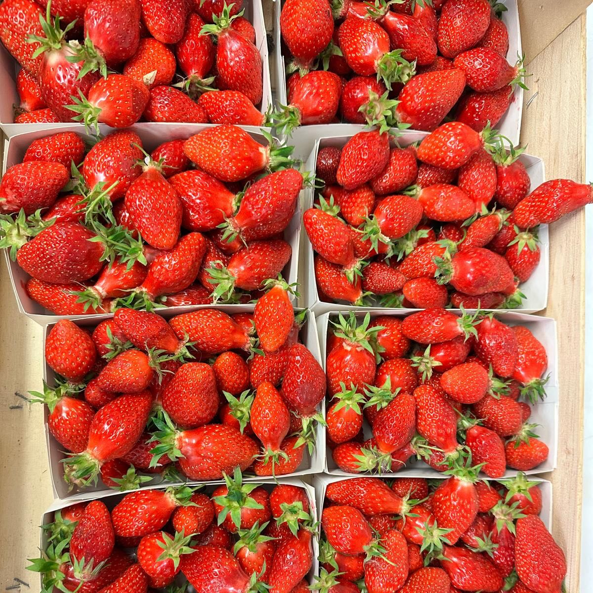 🍓 Les fraises sont à l’honneur cette semaine ! Retrouvez-les à la carte et dans notre menu du midi,…