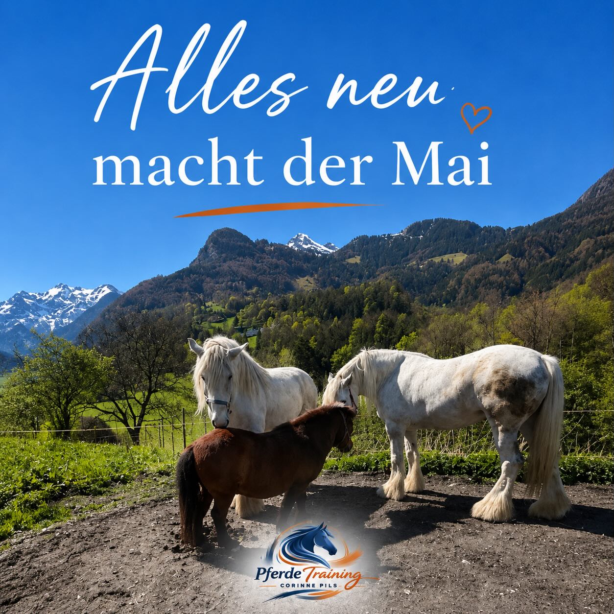 ✨ Neuer Ort. Neue Wege. Neuer Alltag.Und trotzdem bleibt das Wichtigste gleich:Vertrauen, Verb....