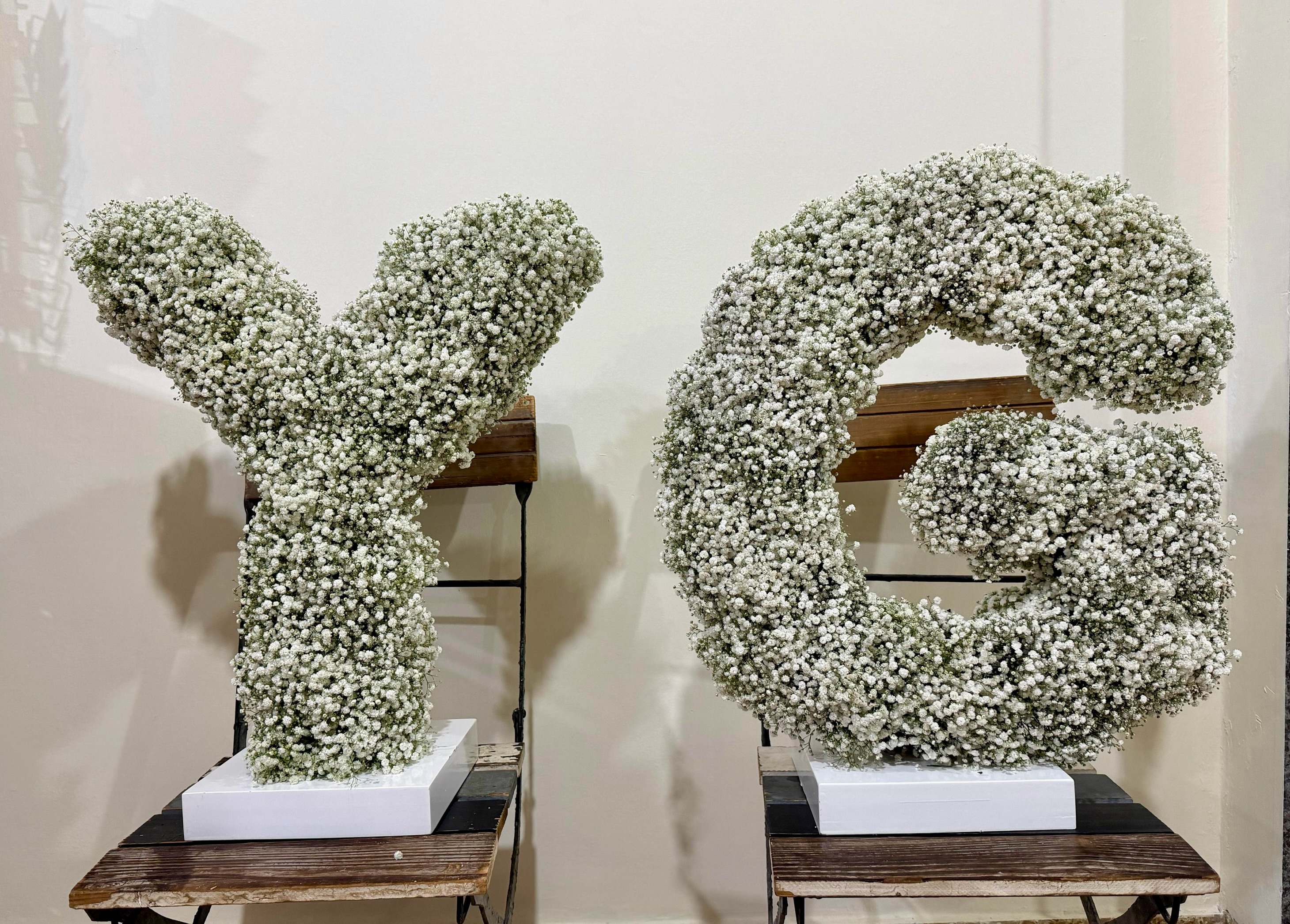 Personalized floral initials for someone you love π€β¨
A gift that feels thoughtful, elegant, and impossible to forget.
Customize any letter for birthdays, newborns, anniversaries, graduations
