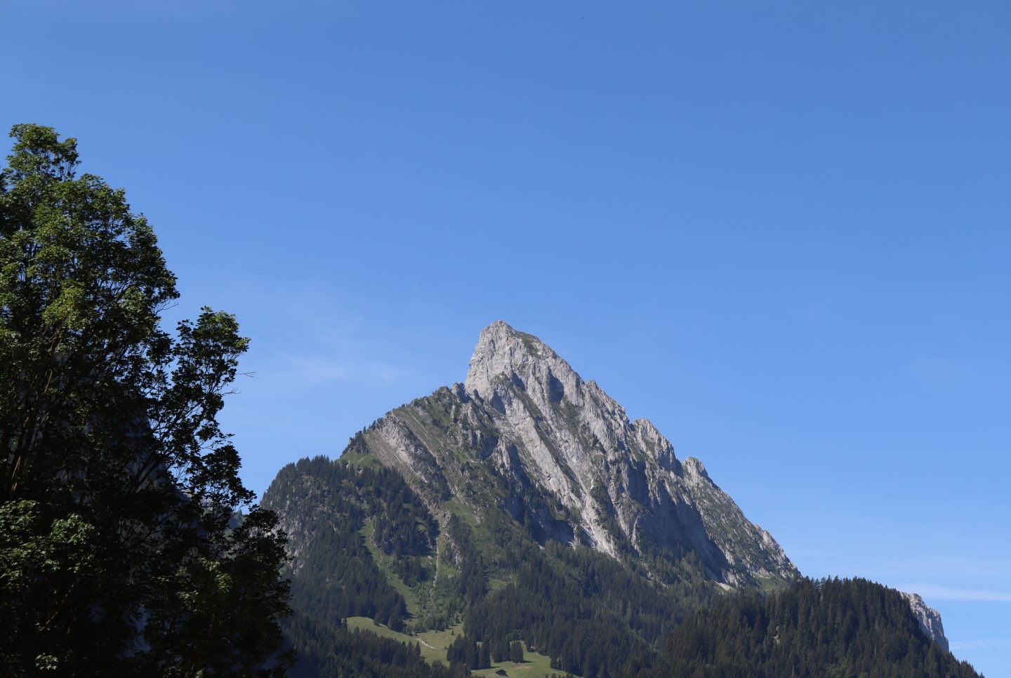Sola 26 - Tag 5
Mittwoch
Den heutigen Tag haben wir mit einem Briefing von Kommissar Redo gestartet. Dort hat er uns von zwei weiteren Schurken erzählt, dem Routerunner und dem Maphacker. Sie manipulieren Routen und verarschen Leute auf ihren Wegen….
Ihr könnt auf unserer Website (jungwacht-blauring.ch) oder in der Jubla App weiterlesen!
#jubla