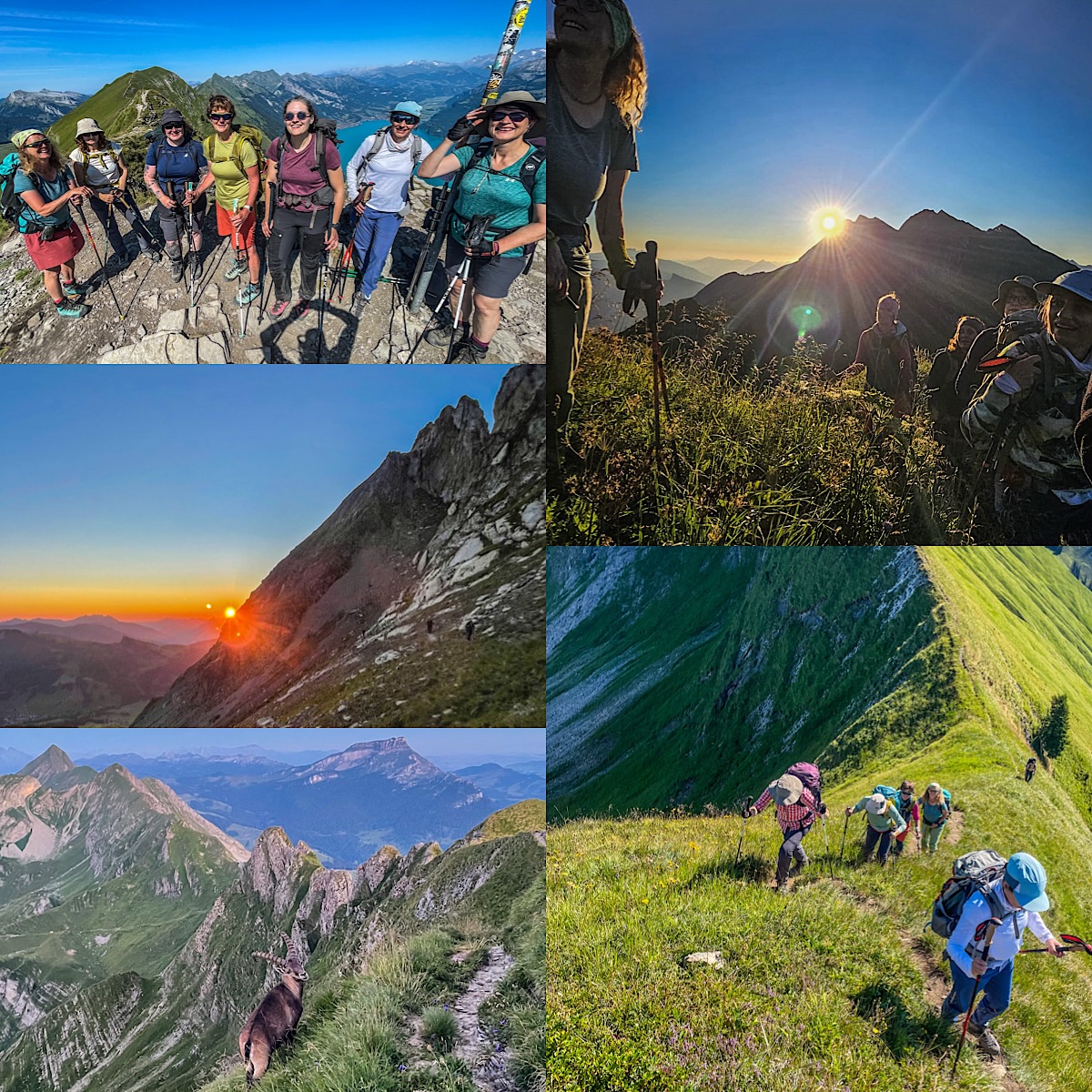 Scenic Route - physical and mental work - grosses Bravo der Gruppe
#intuitivrichtig #freiraumzeit #100prozentspiel #ich selbstbewusstsein vertrauen bejahung selbstkenntnis freilernen meinlerntyp entwickeln kreieren raum potentialentfaltung freiheit
peacefulcommunication lotoftime intrinsic ritch differently adventure @bergluftsport @norrona