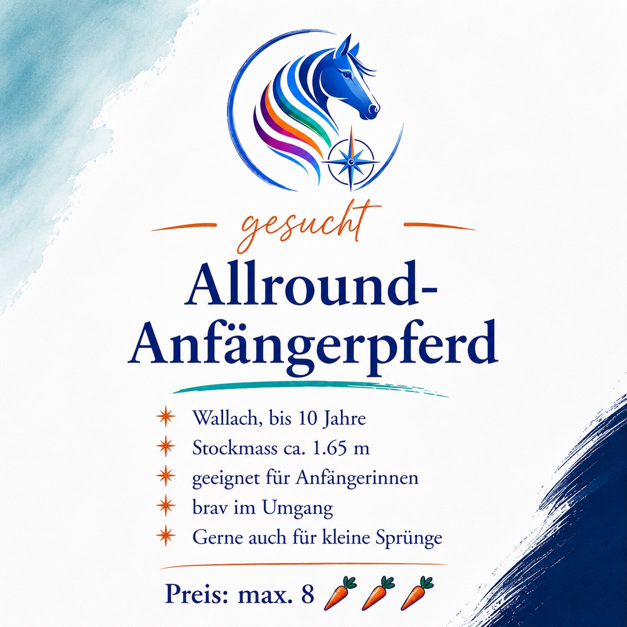 Wir suchen einen neuen Team-Kumpel🐴🔍Gesucht wird ein Allround-Anfängerpferd für unsere k....